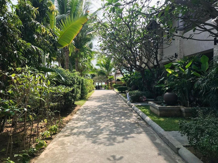 «Цены совсем не выросли, а даже наоборот»: отзыв об отдыхе в Таиланде