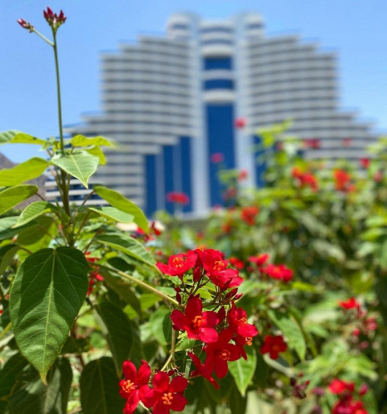 «Чуть не спеклись»: россиянка рассказывает об отдыхе в ОАЭ