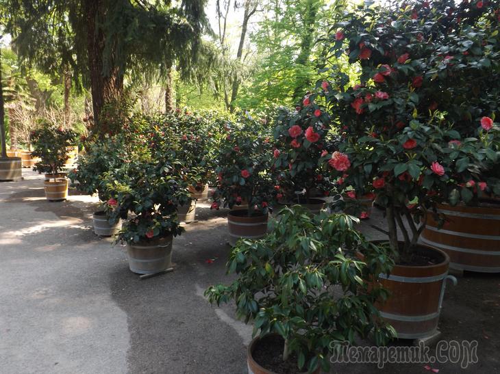 Дрезденская провинция. Загородная прогулка в летнюю резиденцию королей