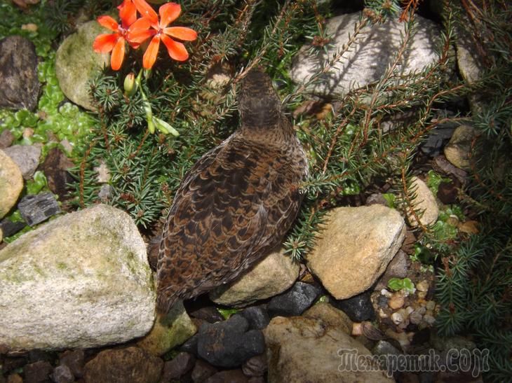 Дрезденская провинция. Загородная прогулка в летнюю резиденцию королей