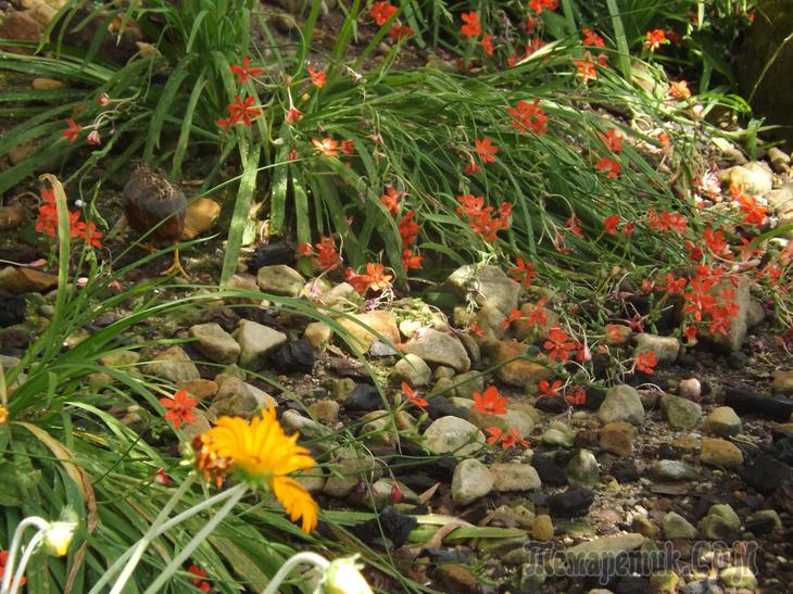 Дрезденская провинция. Загородная прогулка в летнюю резиденцию королей