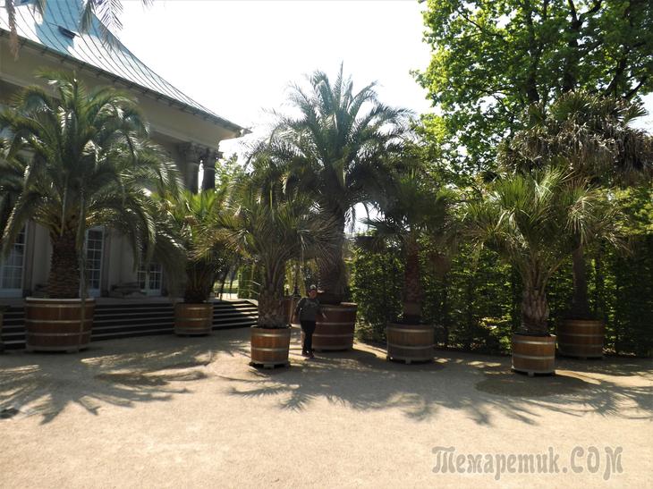 Дрезденская провинция. Загородная прогулка в летнюю резиденцию королей