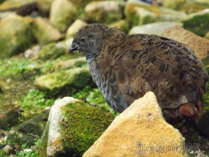 Дрезденская провинция. Загородная прогулка в летнюю резиденцию королей