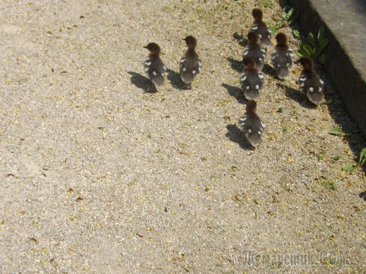 Дрезденская провинция. Загородная прогулка в летнюю резиденцию королей
