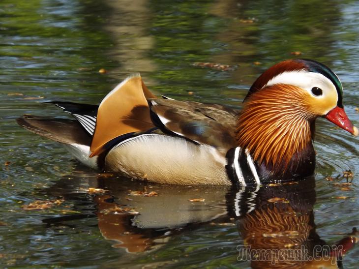 Дрезденская провинция. Загородная прогулка в летнюю резиденцию королей