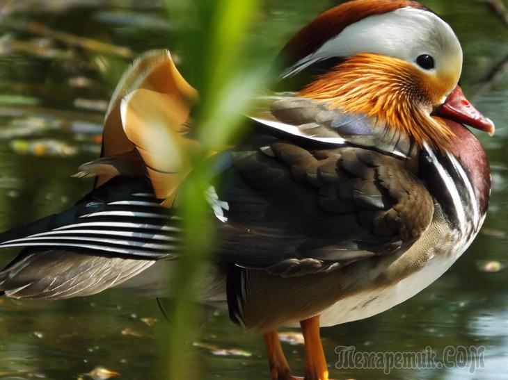 Дрезденская провинция. Загородная прогулка в летнюю резиденцию королей