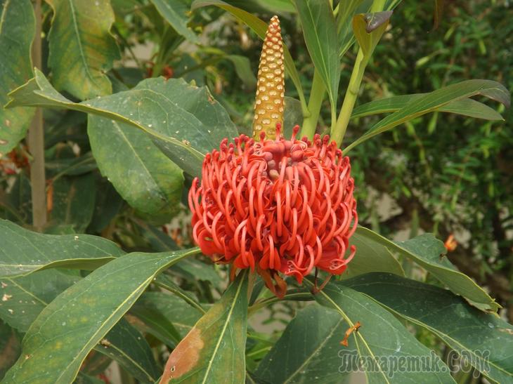 Дрезденская провинция. Загородная прогулка в летнюю резиденцию королей