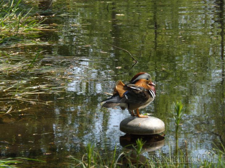 Дрезденская провинция. Загородная прогулка в летнюю резиденцию королей