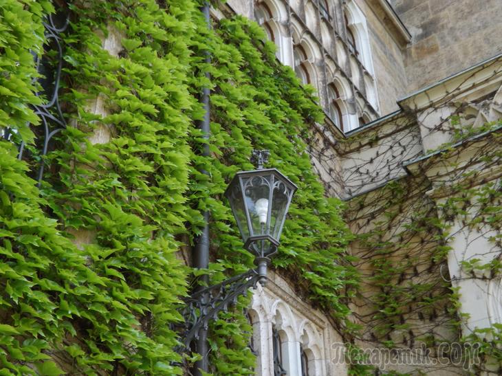 Дрезденская провинция. Загородная прогулка в летнюю резиденцию королей