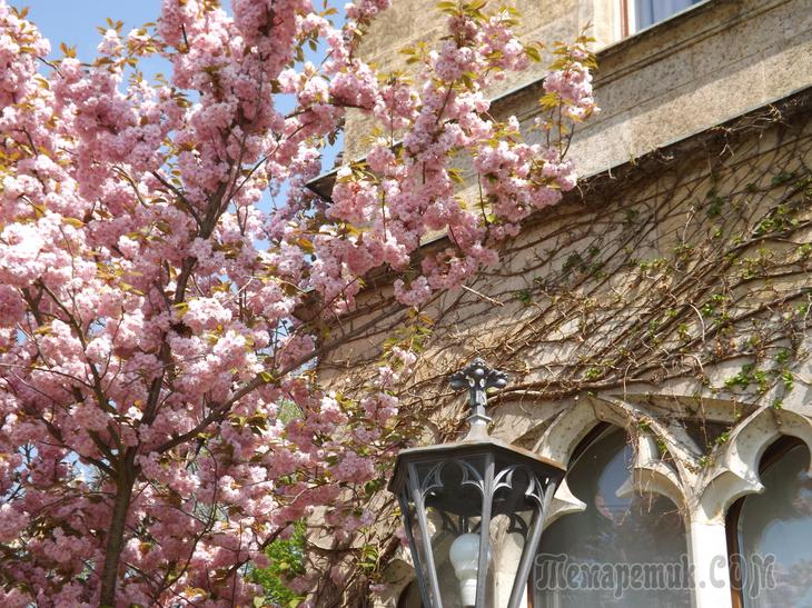 Дрезденская провинция. Загородная прогулка в летнюю резиденцию королей