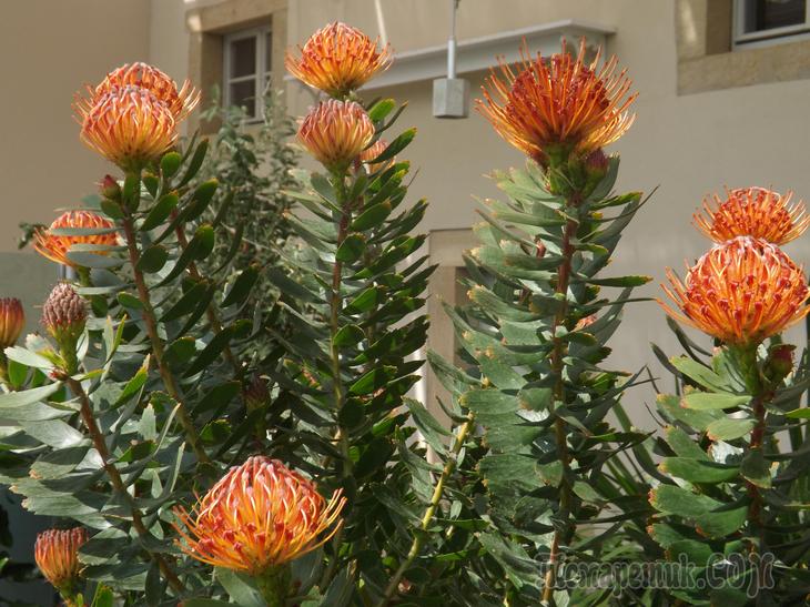 Дрезденская провинция. Загородная прогулка в летнюю резиденцию королей