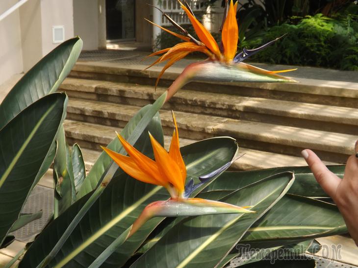 Дрезденская провинция. Загородная прогулка в летнюю резиденцию королей