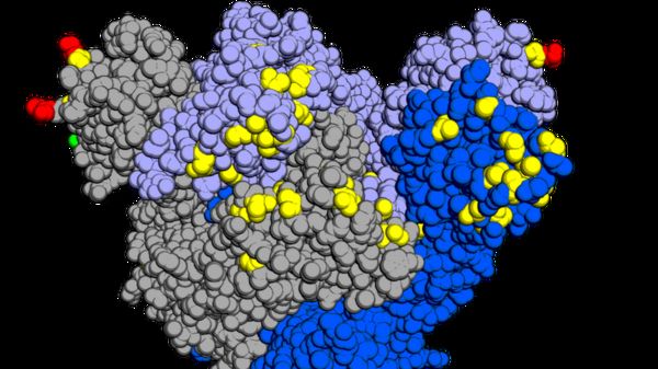 ВОЗ: оспа обезьян тревожит врачей, но Covid-19 намного опаснее, даже после вакцинации