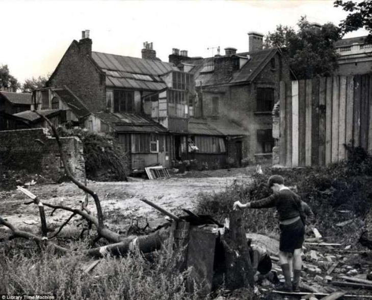 Фото не с глянцевых журналов. Великобритания и Франция. 60-е годы