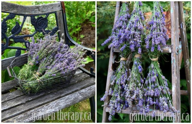 Как превратить сад в райский уголок