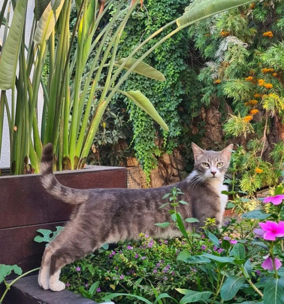 «Кемер сейчас больше напоминает Анапу»: отзыв об отдыхе в Турции