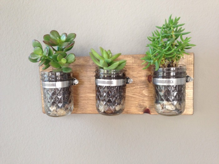 Композиции из суккулентов своими руками