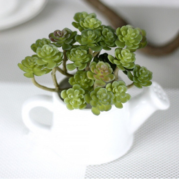 Композиции из суккулентов своими руками