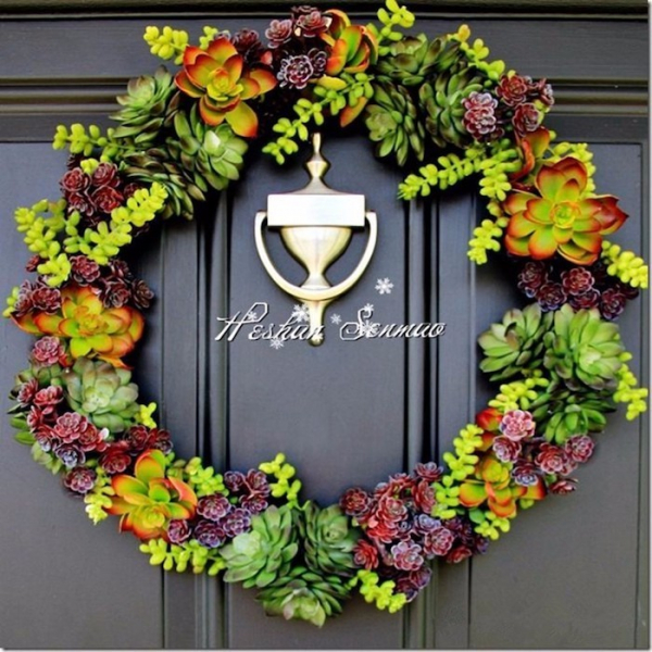 Композиции из суккулентов своими руками