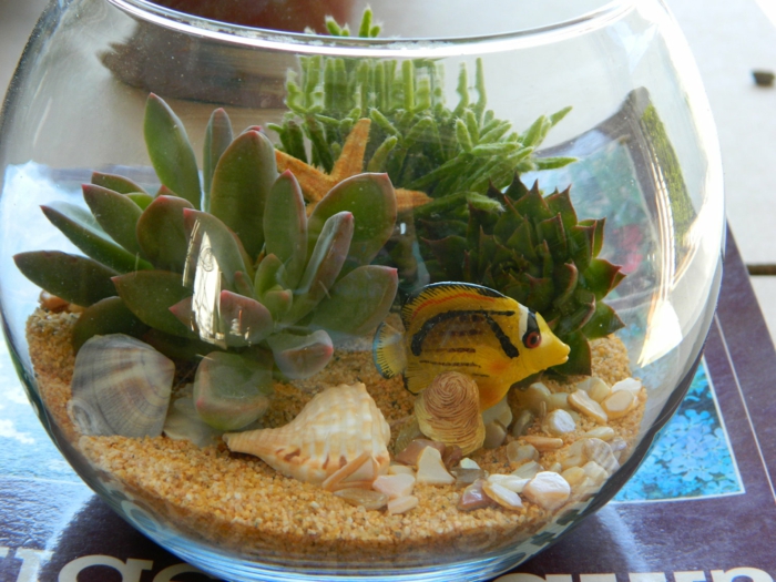 Композиции из суккулентов своими руками