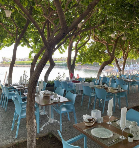 Круглосуточное питание, &laquo;лысая&raquo; территория и новые номера: отзыв об отдыхе в Авсалларе