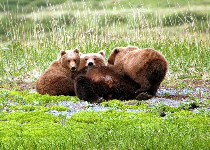 Куда поехать летом: 7 мест, где можно отдохнуть от жары