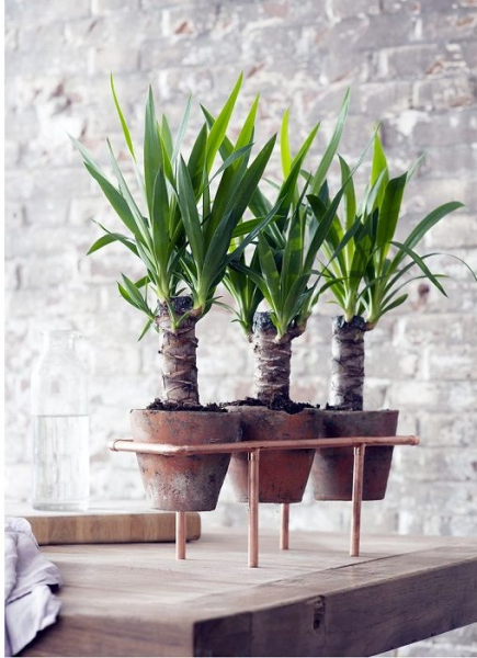 Примеры декора при помощи подставок для горшков