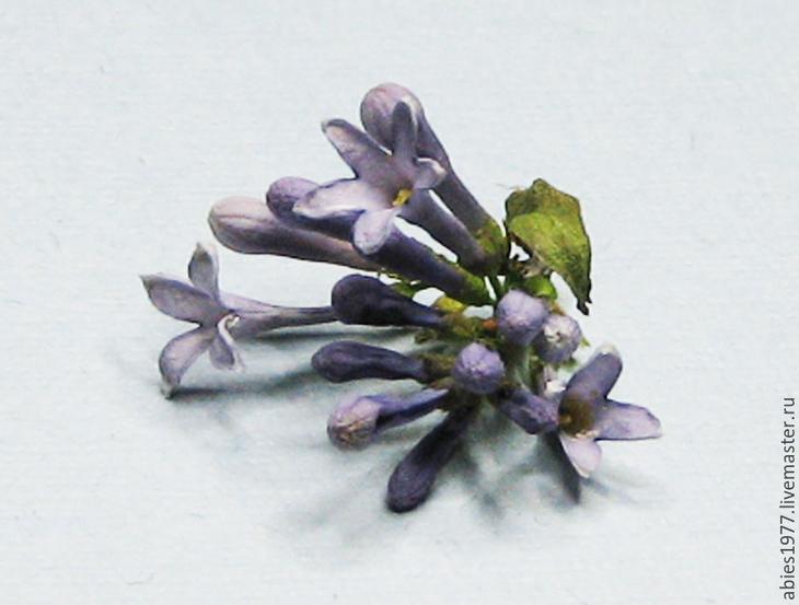 Сохранить любимый цветок в его первозданном виде