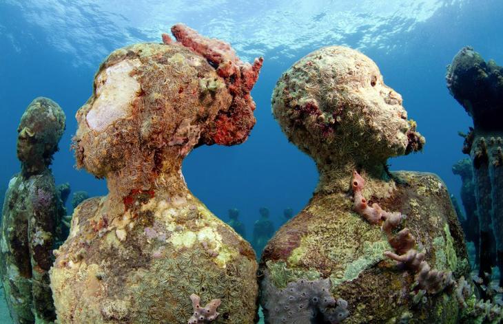 Тайна подводных миров