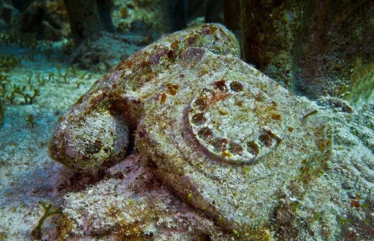 Тайна подводных миров