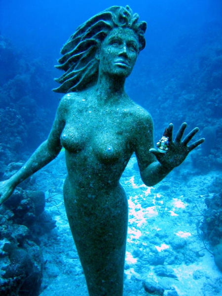 Тайна подводных миров