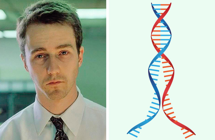 Ученые назвали 8 особенностей, которые передаются нам генетически