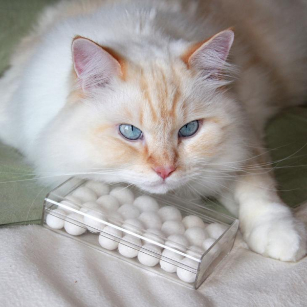 Украшения из шерсти кота