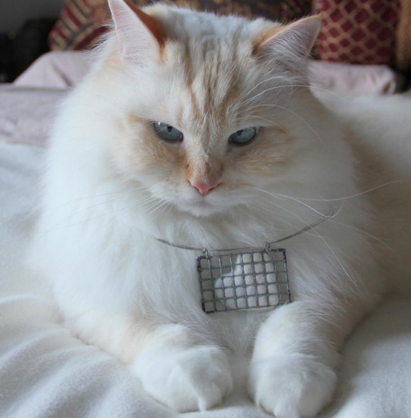 Украшения из шерсти кота