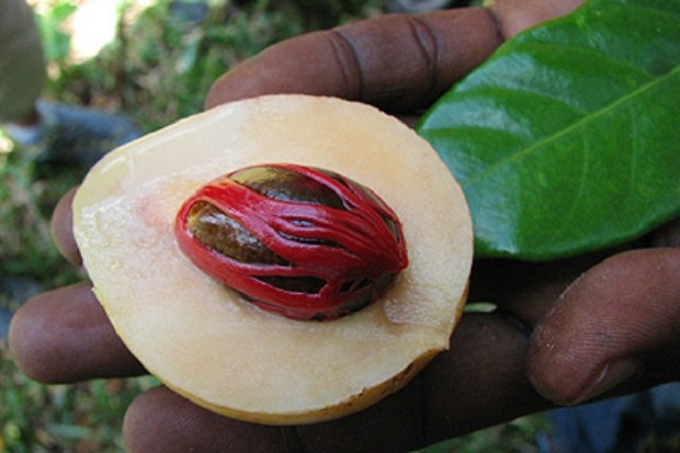 10 удивительных странностей природы