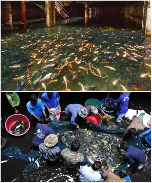 10 заброшенных объектов: окно в забытое прошлое