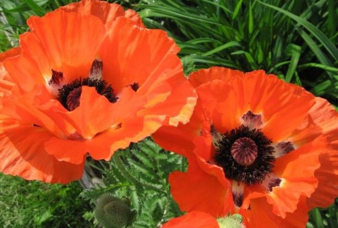 10 загадок природы, которые ставят в тупик современную науку