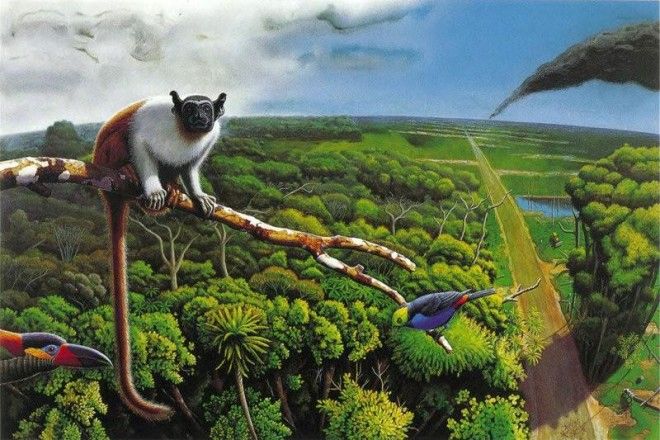 10 загадок природы, которые ставят в тупик современную науку