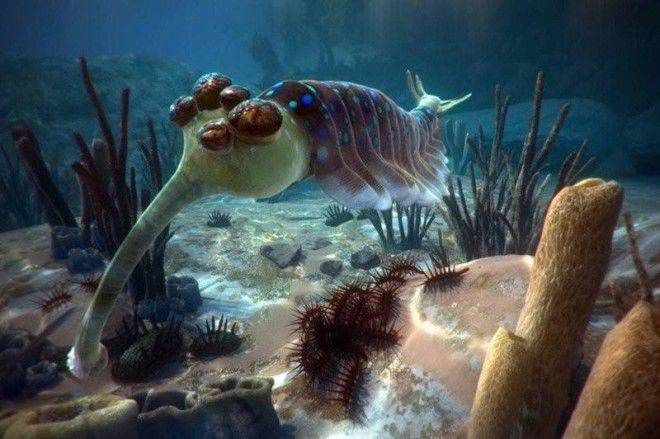 10 загадок природы, которые ставят в тупик современную науку