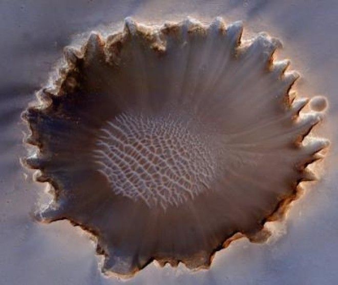 12 фактов, говорящих в пользу существования инопланетян