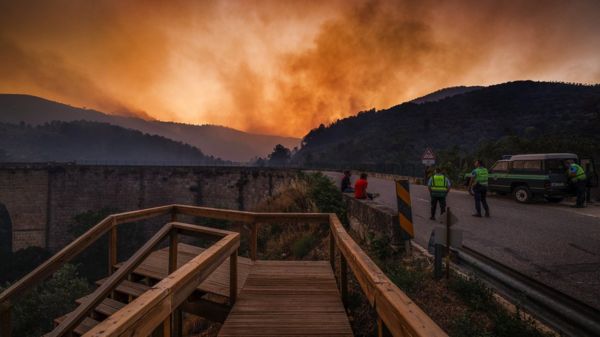 Рекордная жара в Европе: лесные пожары, высохшие озера и люди в фонтанах. Фотографии горящего континента
