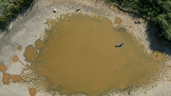 Рекордная жара в Европе: лесные пожары, высохшие озера и люди в фонтанах. Фотографии горящего континента