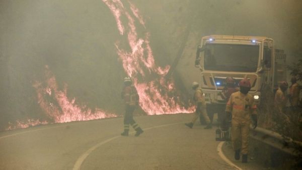 Рекордная жара в Европе: лесные пожары, высохшие озера и люди в фонтанах. Фотографии горящего континента