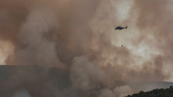 Рекордная жара в Европе: лесные пожары, высохшие озера и люди в фонтанах. Фотографии горящего континента