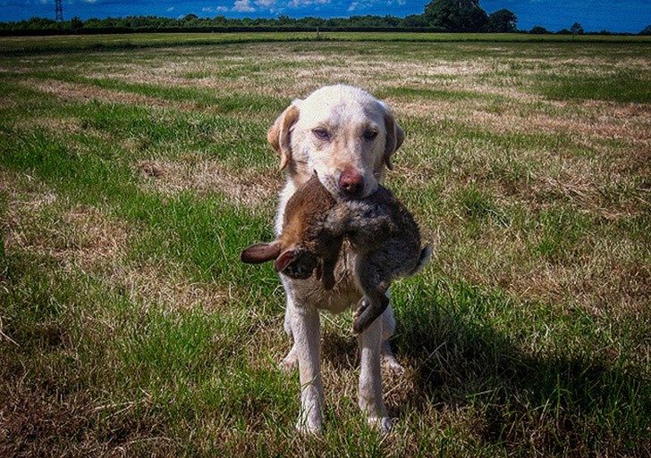 9 необычных явлений нашего мира, у которых, оказывается, есть названия