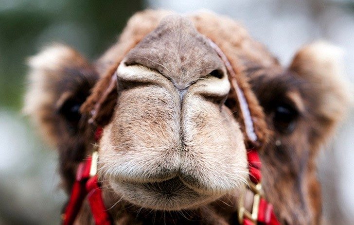 9 необычных явлений нашего мира, у которых, оказывается, есть названия