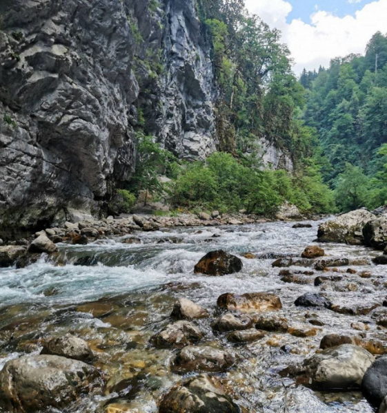 «Больше не тянет»: туристка делится смешанными впечатлениями от отдыха в Абхазии