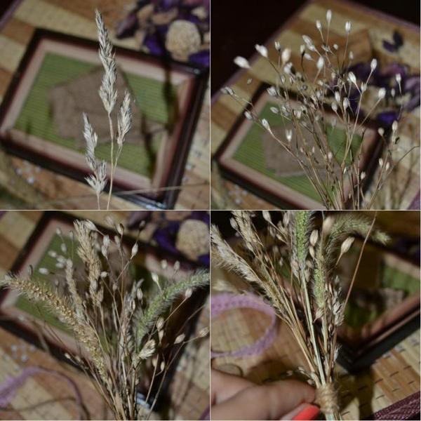 Картины из природных материалов своими руками