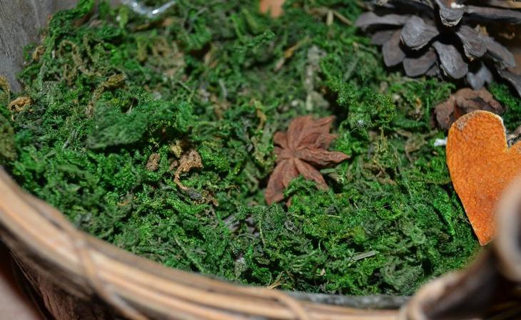 Картины из природных материалов своими руками