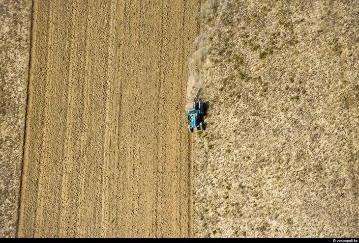 Казахстан: каким его видят птицы